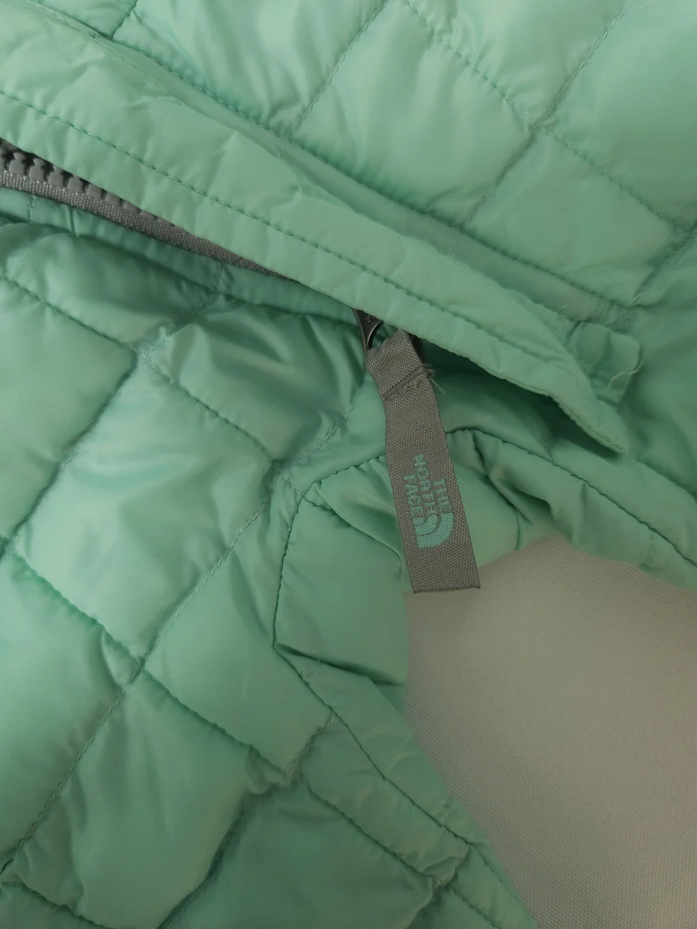 The North Face north face